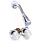 Shower Stall Faucets