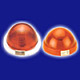 Fire Alert Lights