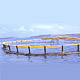 Fish Cages