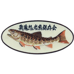 fish conservation society embroidered patches 