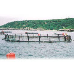 fishing net 