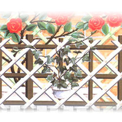 folding decorative trellis 