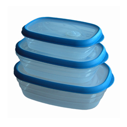 food containers mold 