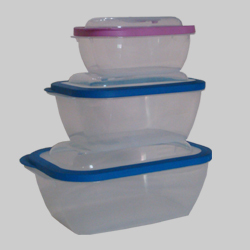 food containers mold 