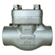 forged stainless steel check valve 