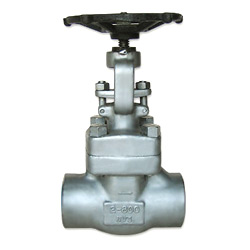 forged stainless steel gate valve