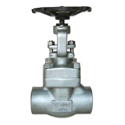 forged stainless steel gate valve 