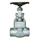forged stainless steel gate valve 