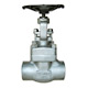 Forged Stainless Steel Gate Valves