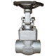 Forged Stainless Steel Globe Valves
