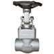 forged stainless steel globe valves 