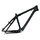 full carbon frame 