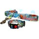 full-color-dog-collar-matching-lead 