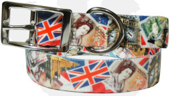 full-color-dog-lead--matching-collar-uk-series