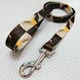 full color print leash 