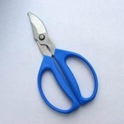 garden shears