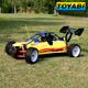 1/5 Scale RTR 2WD Baja Gas Powered Buggies