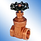 gate valve 