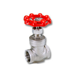 gate valve