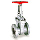 gate valve 