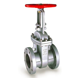 gate valve 