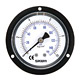 general pressure gauge 