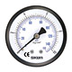 general pressure gauge 