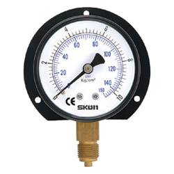 general pressure gauge