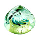 Glass Paperweights