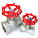 globe valve 