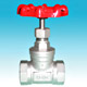 Globe Valves