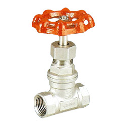 globe valve 