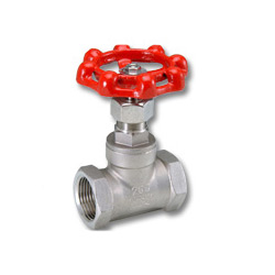 globe valve