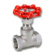 globe valve 