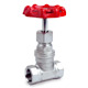 Globe Valves (Threaded 200PSI)