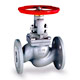 globe valve 