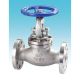 Globe Valve