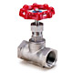 globe valves 