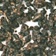 Gold Oolong Tea
