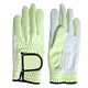 Golf Gloves