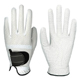 Golf Gloves image