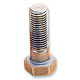 Hex Head Cap Screws image