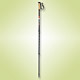 Walking Poles image