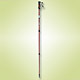 Walking Poles image