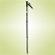 Walking Poles image