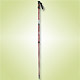 Walking Poles image