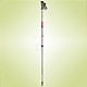 Walking Poles image