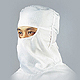 Clean Room Hoods