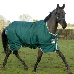horse blanket 