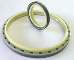 hydraulic seal